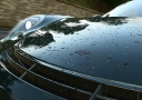 project-cars-46