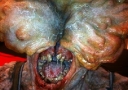 the-last-of-us_infiziert_02