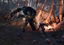 the-witcher-3-wild-hunt-screenshot-2