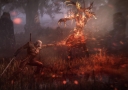 the-witcher-3-11