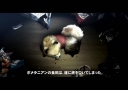 tokyo-jungle-17
